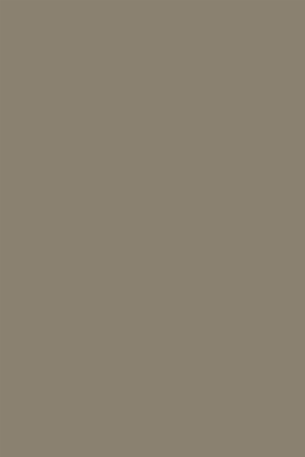 BT9 Light Taupe
