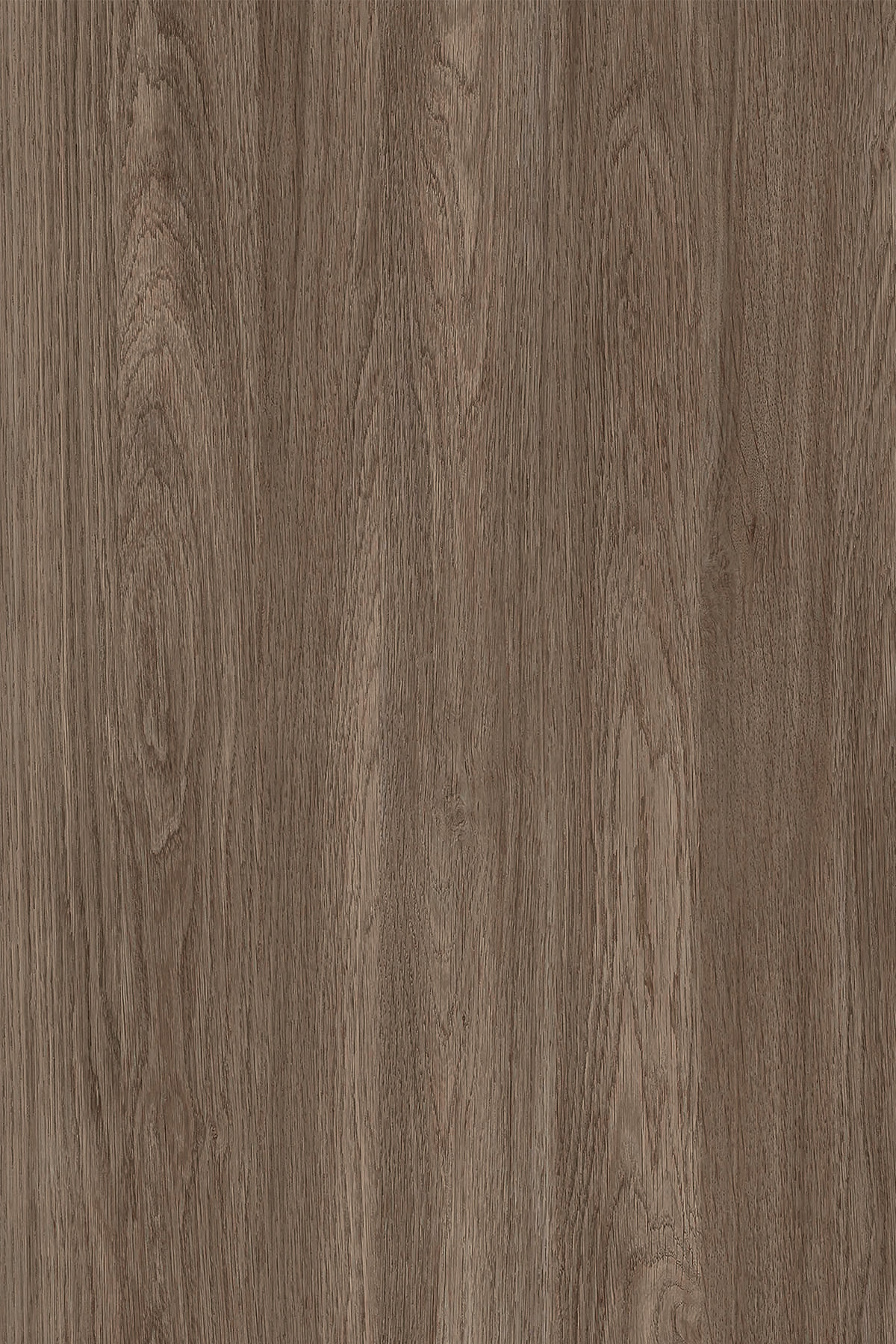 AV3 Dark Cornwall Oak