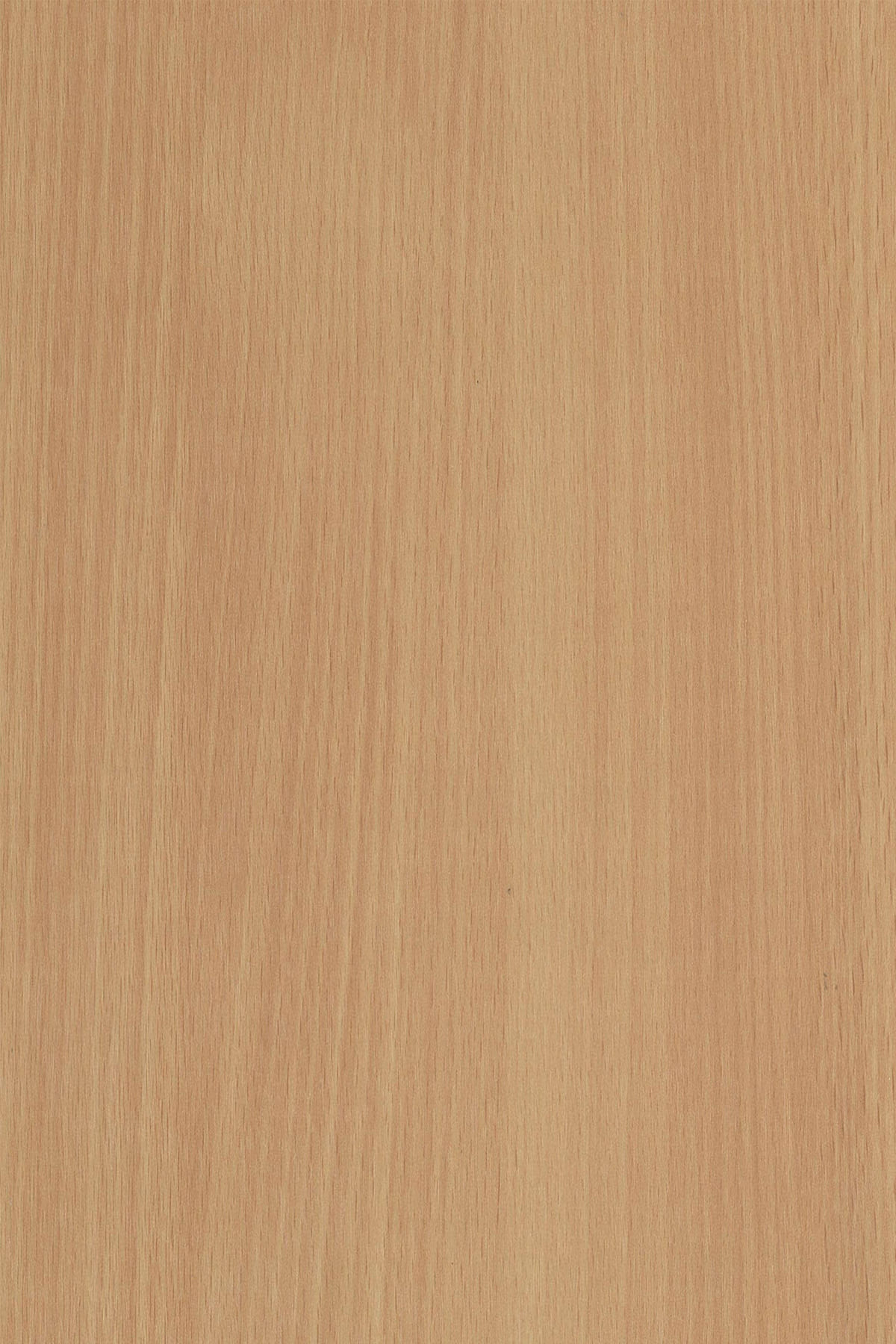 MFD205 Beech (4')