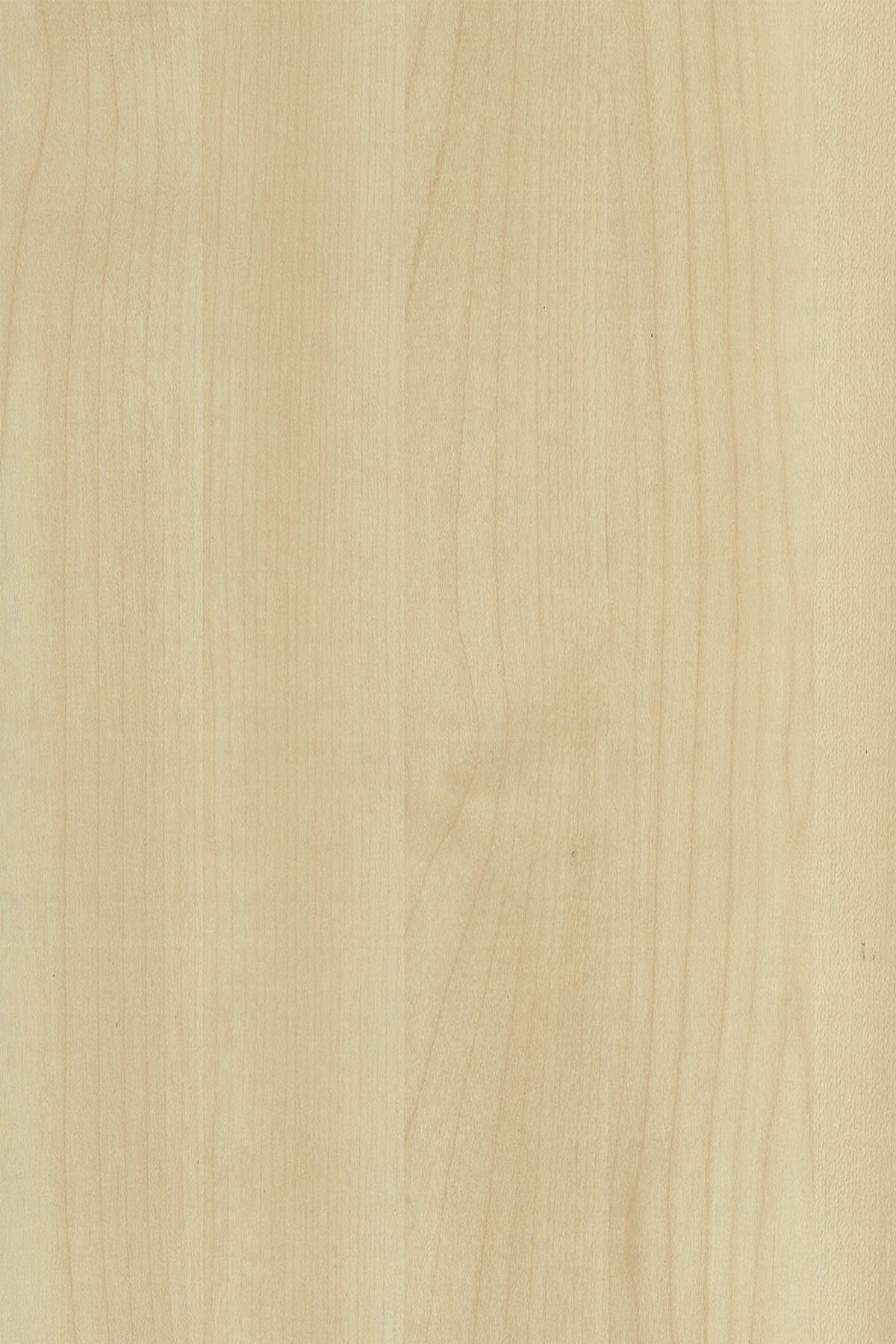 BH8 Maple MM325